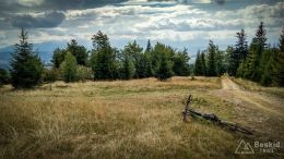 IMG_20170910_131105_HDR