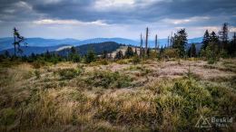 IMG_20170910_155132_HDR