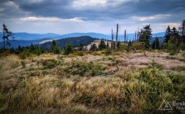 IMG_20170910_155132_HDR