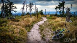 IMG_20170910_155145_HDR