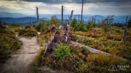 IMG_20170910_155251_HDR