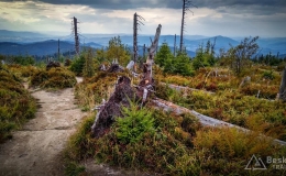 IMG_20170910_155251_HDR