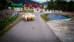 IMG_20170910_164902_HDR