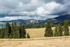 _DSC6195
