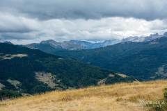 _DSC6200