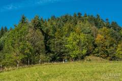 _DSC6371