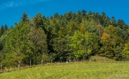 _DSC6371