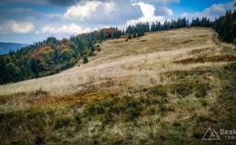 IMG_20170930_125142_HDR