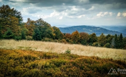 IMG_20170930_125149_HDR