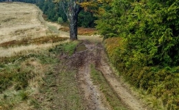 IMG_20170930_125200_HDR