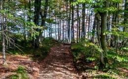 IMG_20170930_125922_HDR