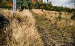 IMG_20170930_130222_HDR