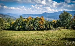 IMG_20170930_131203_HDR