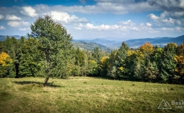 IMG_20170930_131218_HDR