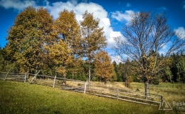 IMG_20170930_141950_HDR
