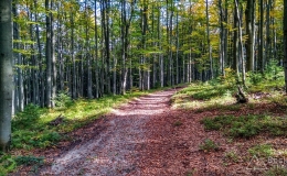 IMG_20170930_153657_HDR