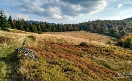 IMG_20170930_162936_HDR