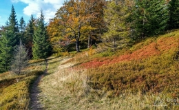IMG_20170930_162956_HDR