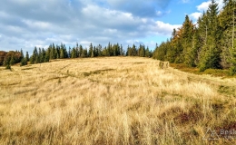 IMG_20170930_163839_HDR