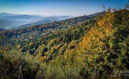 IMG_20171001_094114_HDR