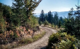 IMG_20171001_094129_HDR