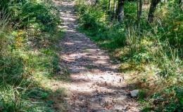IMG_20171001_101018_HDR