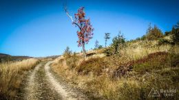 IMG_20171001_110138_HDR