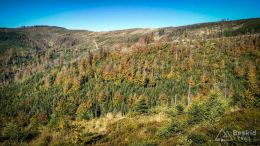 IMG_20171001_110237_HDR