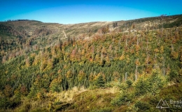 IMG_20171001_110237_HDR