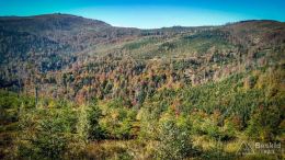 IMG_20171001_110244_HDR