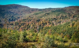 IMG_20171001_110244_HDR