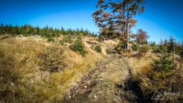 IMG_20171001_111426_HDR