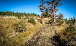 IMG_20171001_111426_HDR