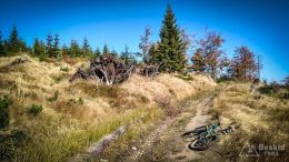 IMG_20171001_111517_HDR