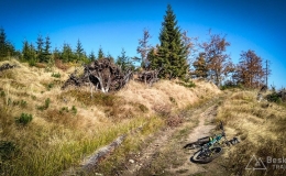 IMG_20171001_111517_HDR