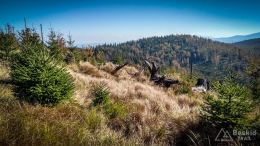 IMG_20171001_111523_HDR