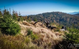 IMG_20171001_111523_HDR