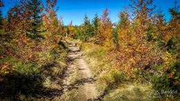 IMG_20171001_112935_HDR