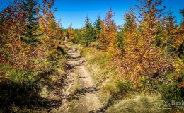 IMG_20171001_112935_HDR