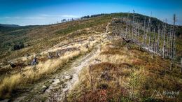 IMG_20171001_114917_HDR