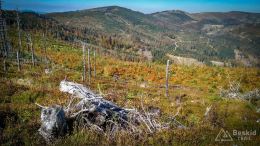 IMG_20171001_114921_HDR