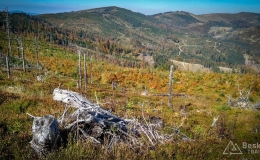 IMG_20171001_114921_HDR