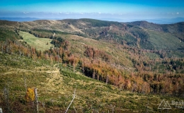 IMG_20171001_121613_HDR