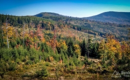 IMG_20171001_142940_HDR