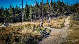 IMG_20171001_143429_HDR