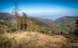 IMG_20171001_143458_HDR
