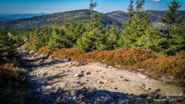 IMG_20171001_150653_HDR