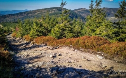 IMG_20171001_150653_HDR