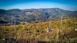 IMG_20171001_152322_HDR