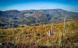 IMG_20171001_152322_HDR